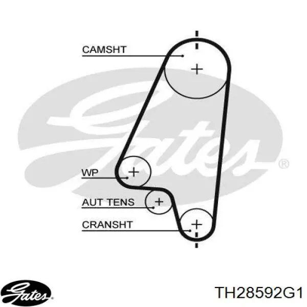 Termostato Gates TH28592G1 precio, desde 8,83 EUR
