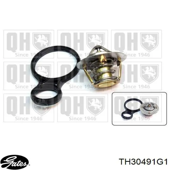 Termostato TH30491G1 Gates