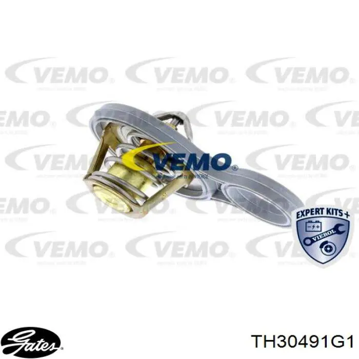 Termostato Gates TH30491G1 precio, desde 9,73 EUR