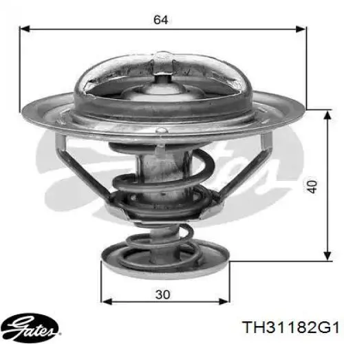 Comprar WV64TA82A Tama Termostato