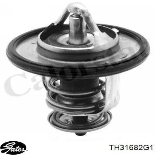 Termostato Denso DTM82298 precio, desde 10,33 EUR