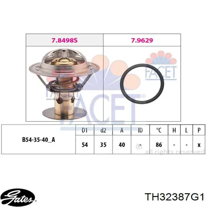 3952532 Ford Termostato de agua