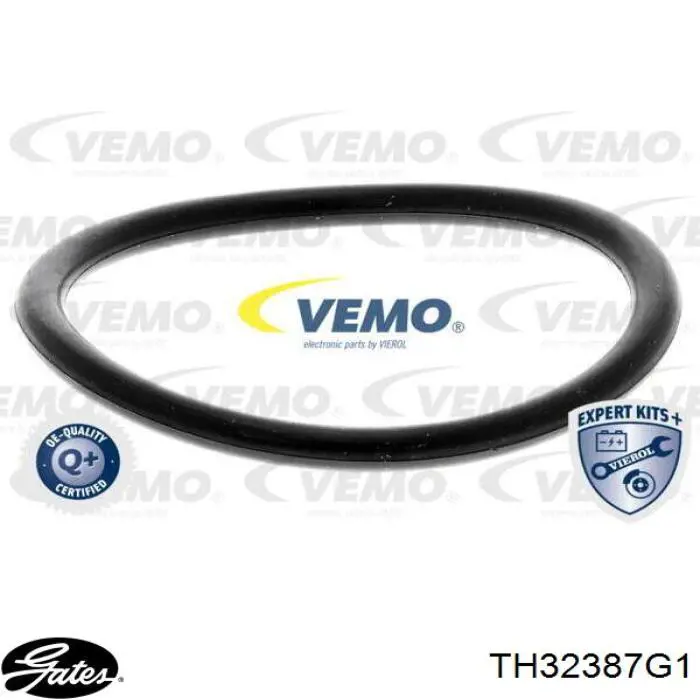 Termostato Ford 3952532 precio, desde 15,38 EUR