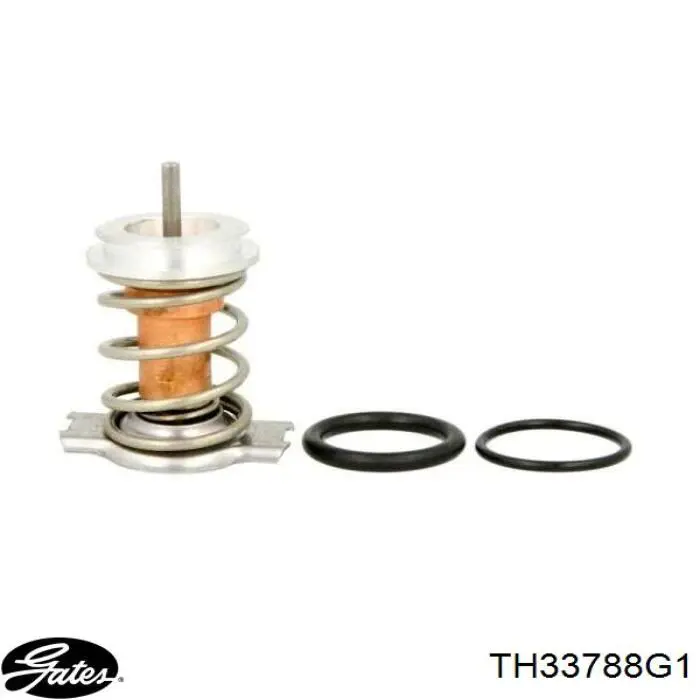 Termostato refrigerante Opel 55182499