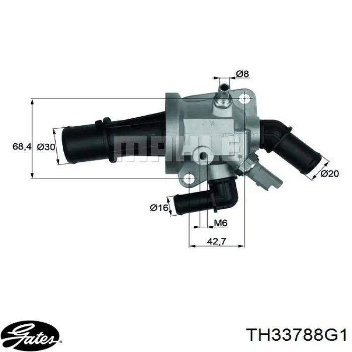 Termostato 55182499 Opel