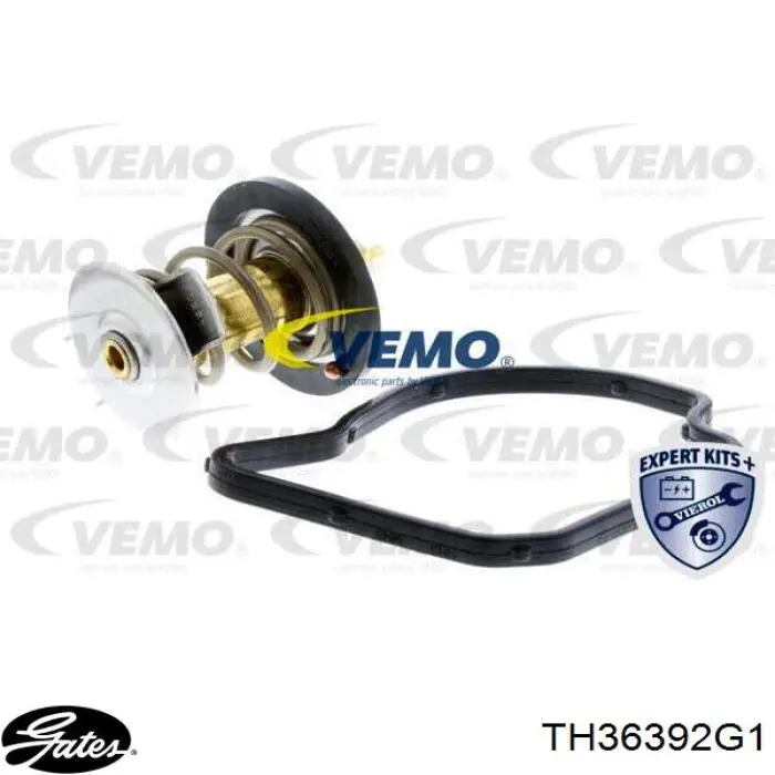 Caja de termostato 5350392 FAE