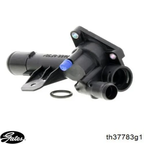 Termostato, refrigerante Nissan Tiida C11X