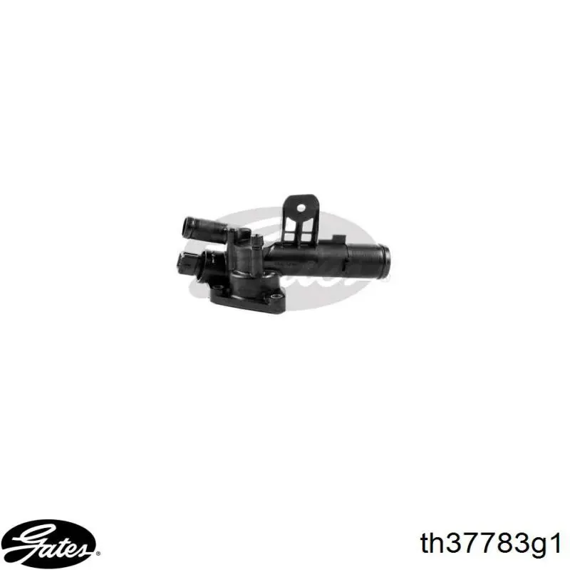 Termostato, refrigerante Nissan Tiida C11X