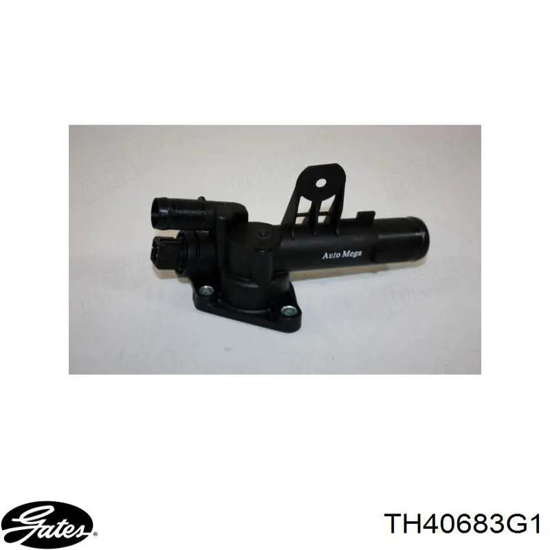 Termostato, refrigerante Nissan Tiida C11X