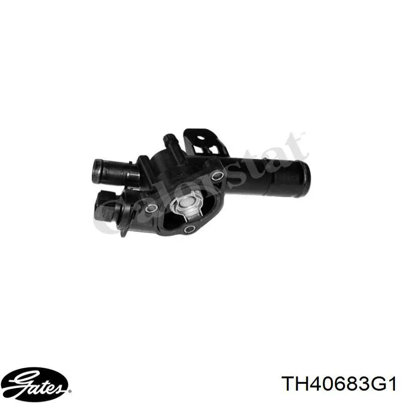 Termostato, refrigerante Nissan Tiida C11X