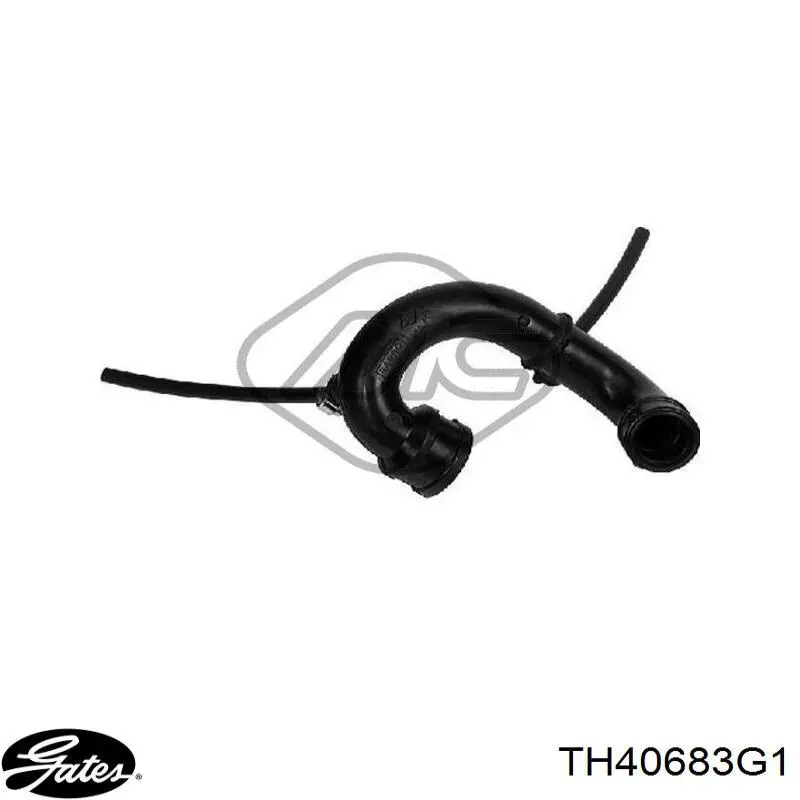 Termostato, refrigerante Nissan Tiida C11X