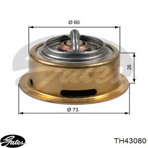 Comprar TH43080 Gates Termostato
