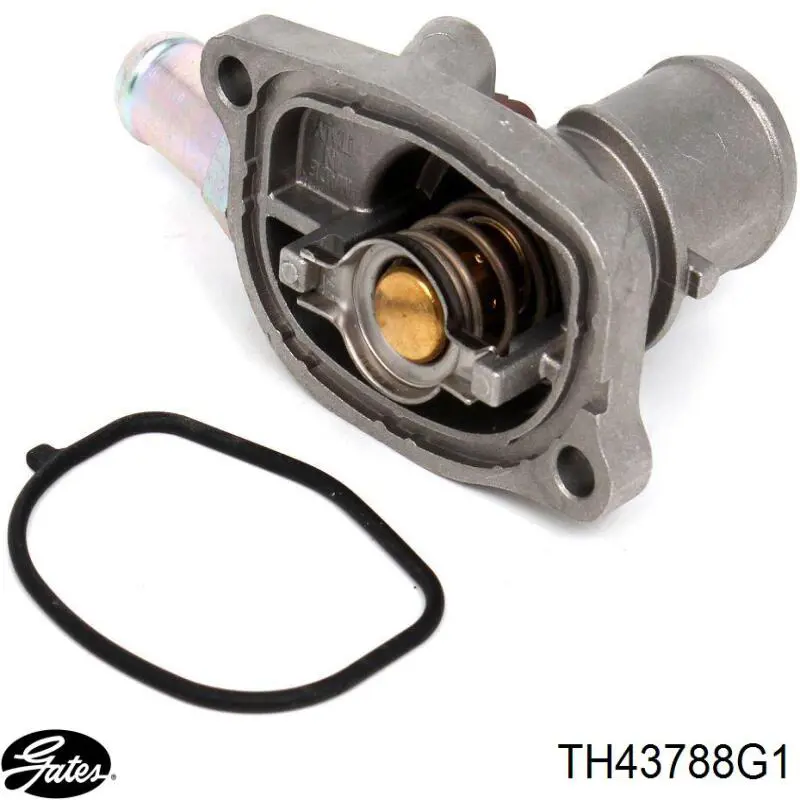 Carcasa del termostato Denso DTM88741 precio, desde 24,14 EUR