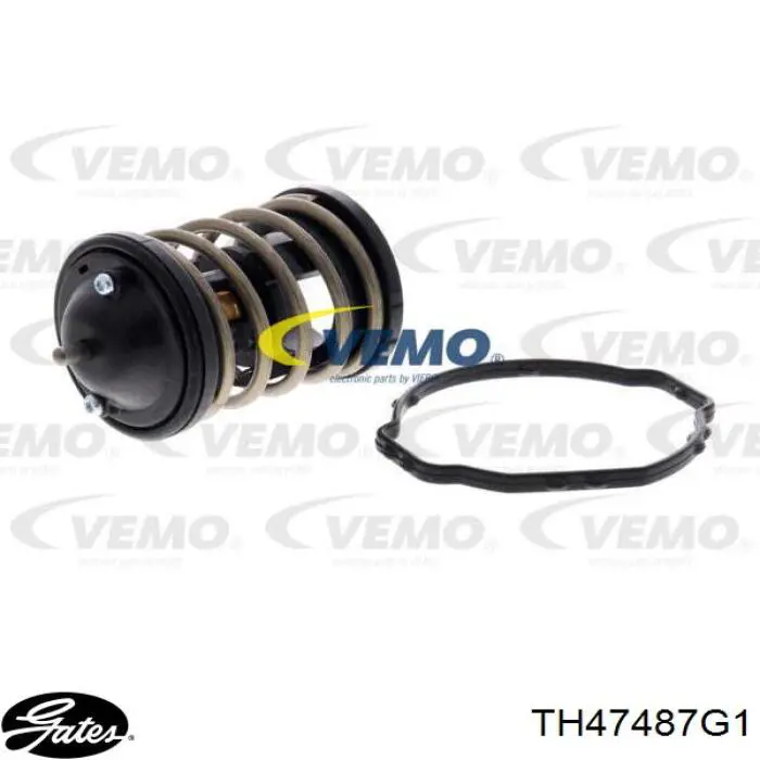 Termostato refrigerante Gates TH47487G1