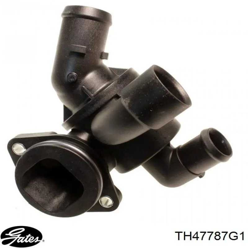 Comprar DT1094H Dayco Caja de termostato