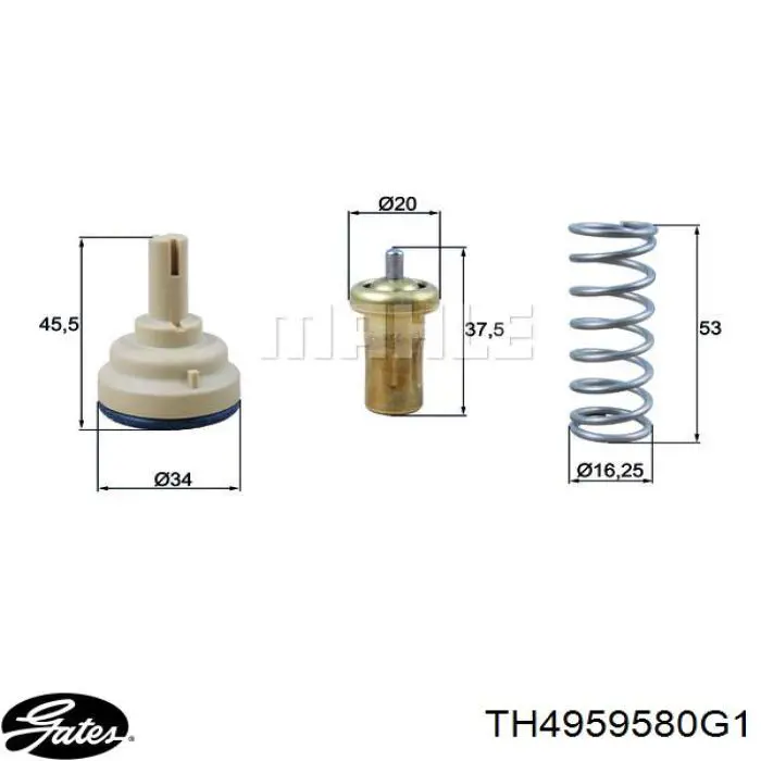 Comprar 16272 Fare Caja de termostato