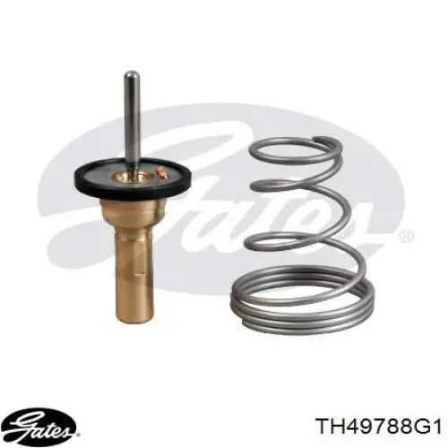 TH49788G1 Gates Termostato de agua