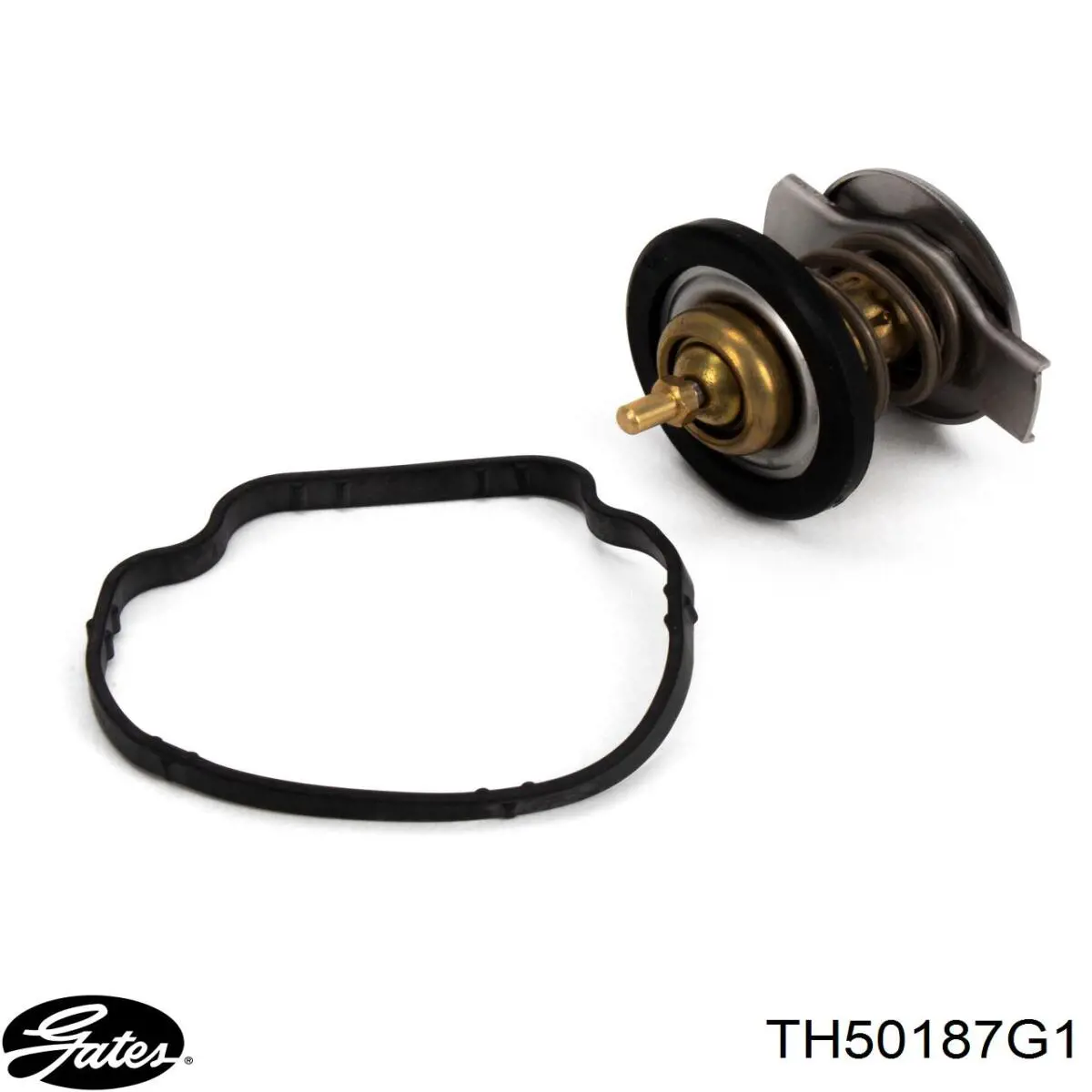 D2M011TT Thermotec Termostato de agua