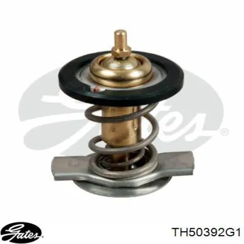 Termostato Gates TH50392G1 precio, desde 35,83 EUR