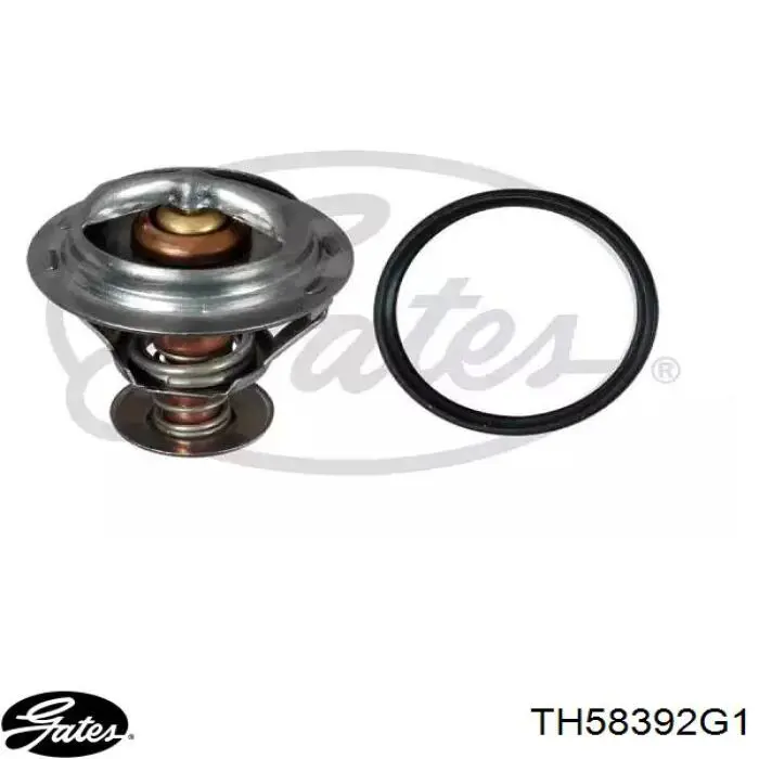 Comprar TH58392G1 Gates Termostato