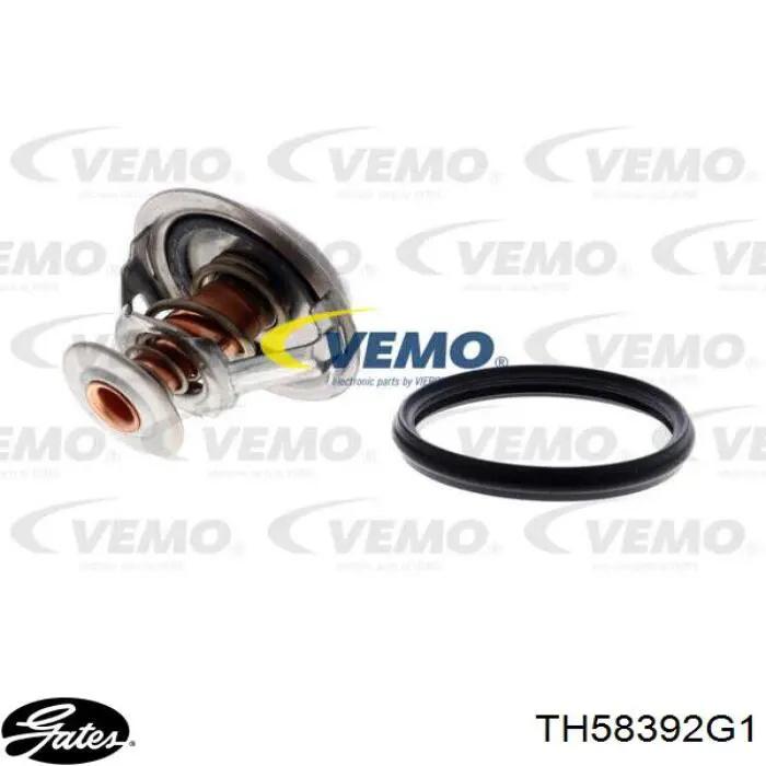 7280.92J Vernet termostato, refrigerante