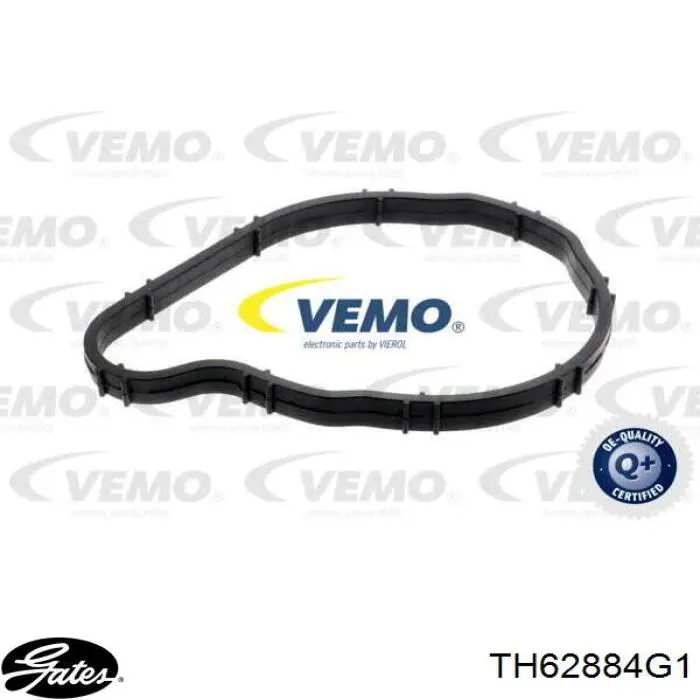 352317003380 Magneti Marelli Termostato de agua