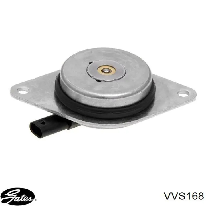 Válvula control, ajuste de levas Chevrolet Aveo 2 T250, T255