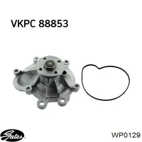 Comprar CP421000S Mahle Original Bomba de agua para motor