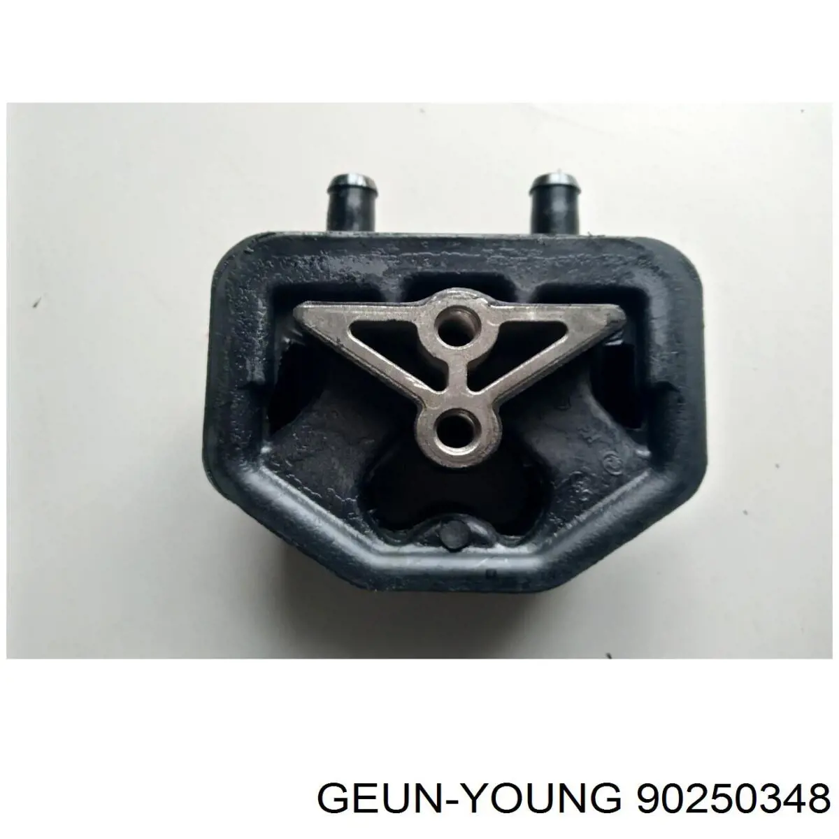 90250348 Geunyoung