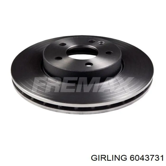 6043731 Girling Discos