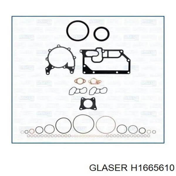 H1665610 Glaser