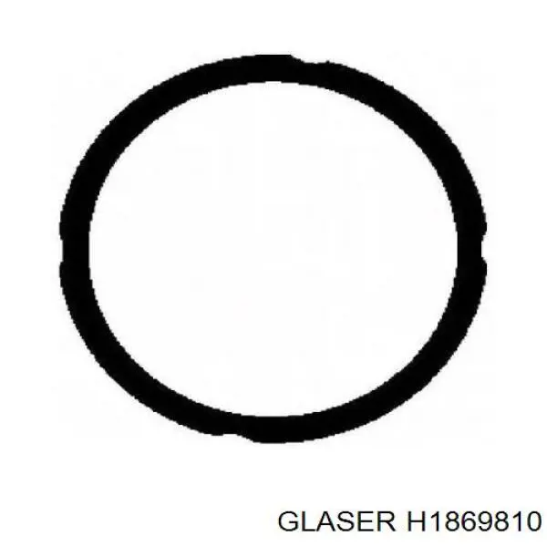 H18698-10 Glaser junta de culata