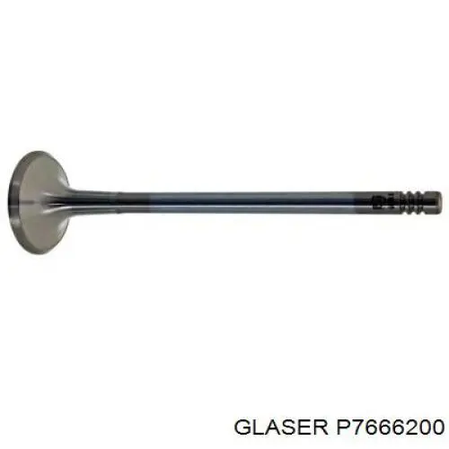 Sello De Aceite De Valvula (Rascador De Aceite) Entrada/Salida Renault Espace 4 JK0