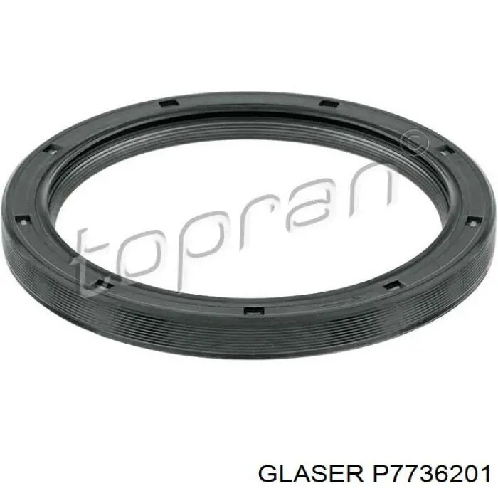 P7736201 Glaser Anillo retén cigüeñal