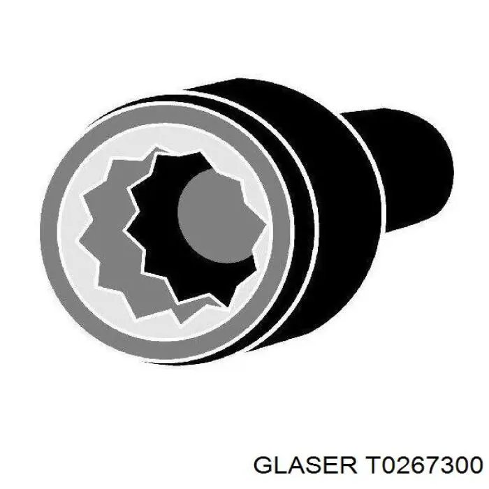 T0267300 Glaser Pernos de culata