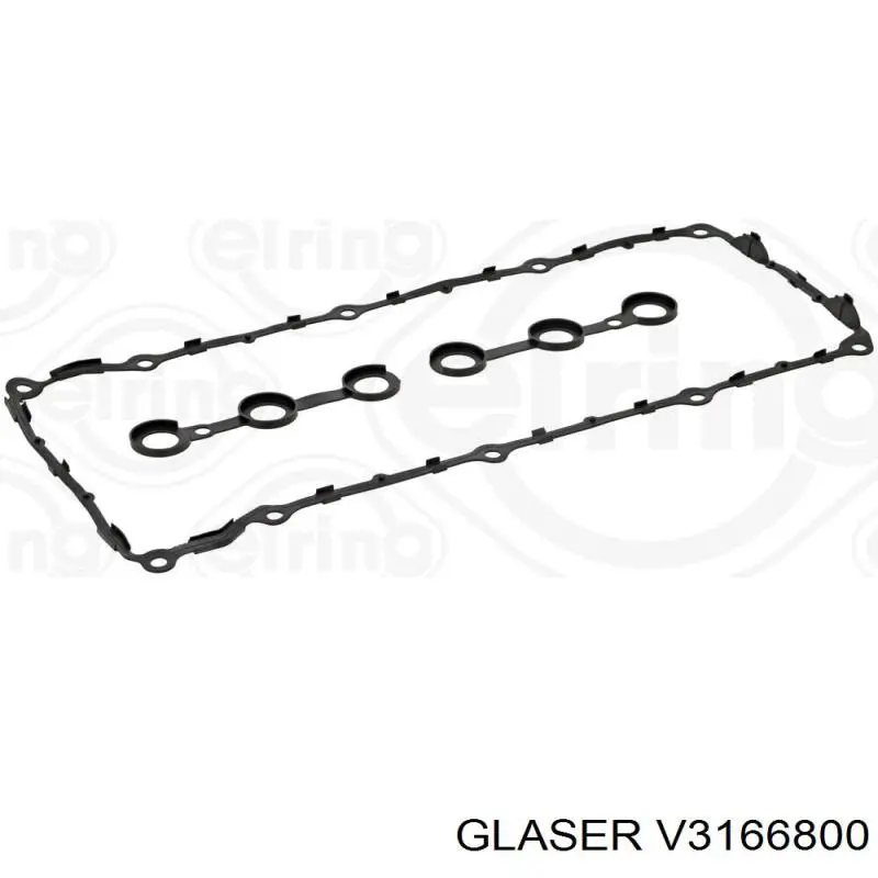 V3166800 Glaser