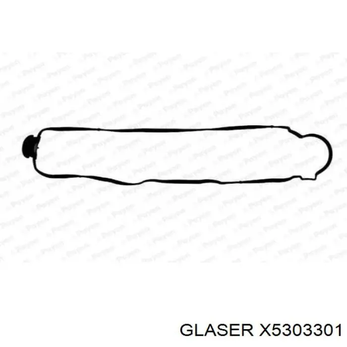 X5303301 Glaser junta, tapa de culata de cilindro izquierda