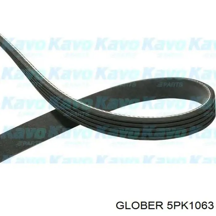 Comprar 5PK1063 Glober Correa trapezoidal