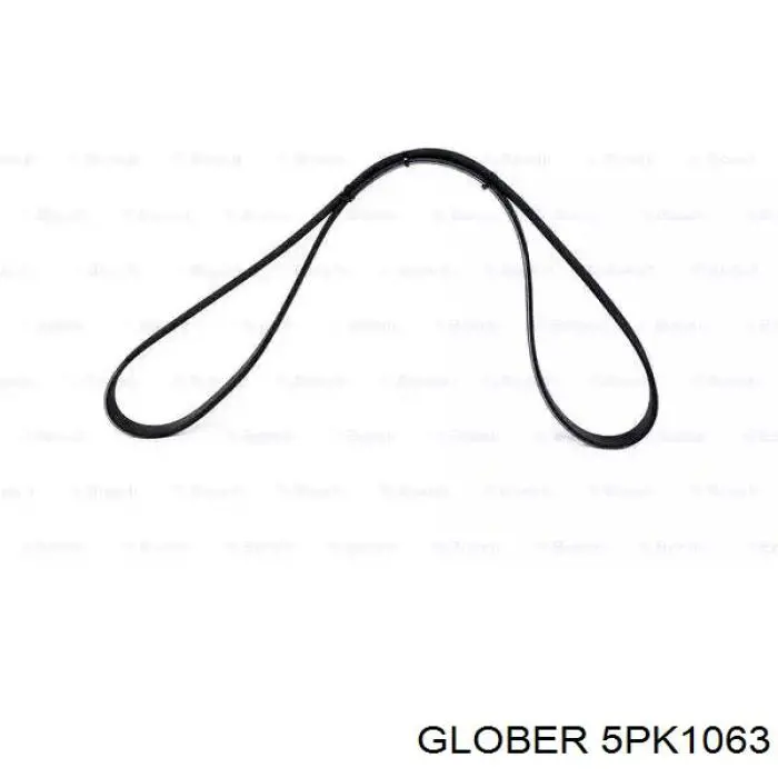 5PK1063 Glober correa trapezoidal
