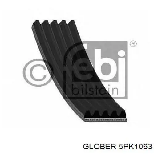 5PK1063 Glober Correa poly v