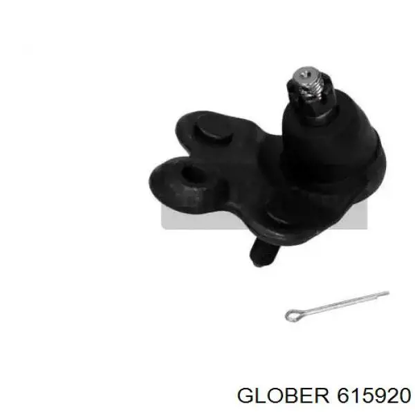 Rótula inferior de suspensión Glober 615920 precio, desde 24,85 EUR