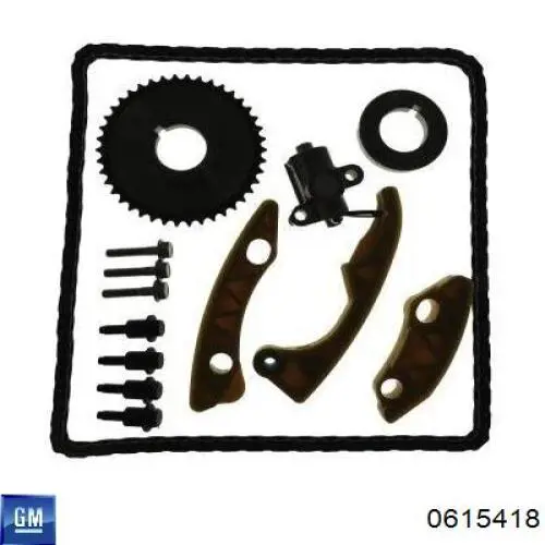 Cadena de distribución del eje de equilibrado 0615418 General Motors