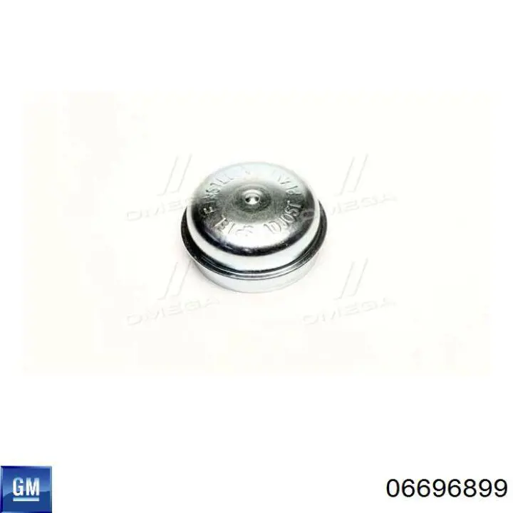 Comprar 06696899 General Motors Tapa de cubo de rueda