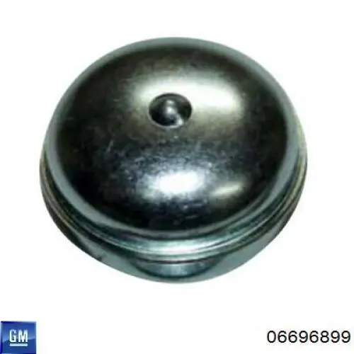 06696899 General Motors Tapa de cubo de rueda