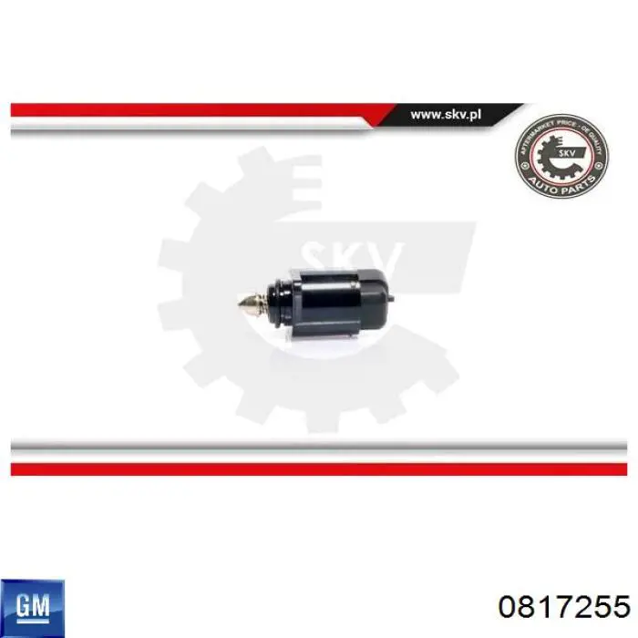 0817255 General Motors Regulador de ralentí