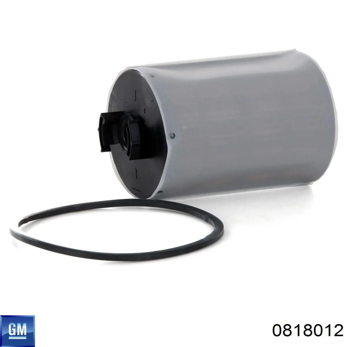 Filtro combustible Fiat Ducato 3 250