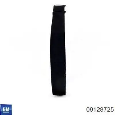 Comprar 09128725 General Motors Correa distribución