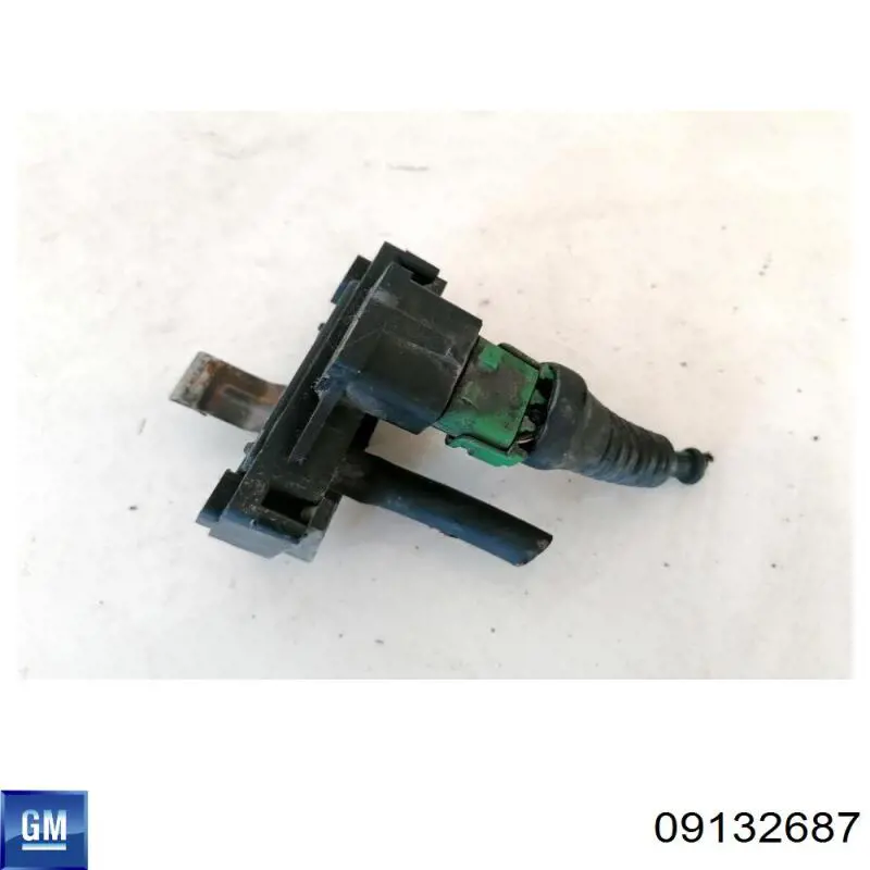 09132687 General Motors 