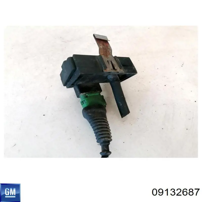  General Motors 09132687 precio, desde 34,85 EUR