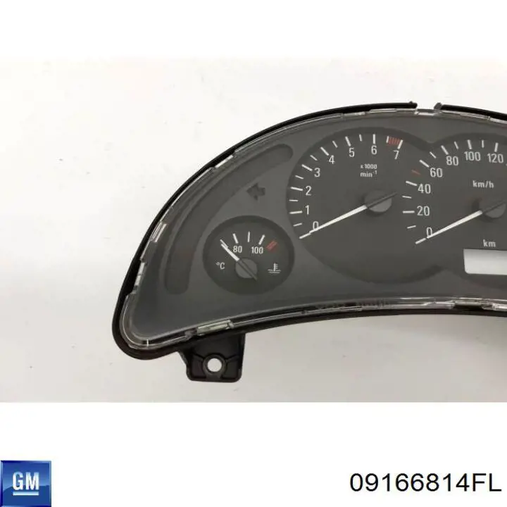  09166814FL General Motors